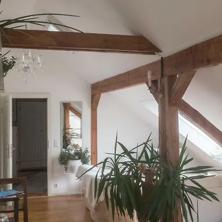 Private & Altstadt هانوفر